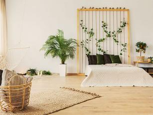 7 biljaka koje trebate da imate u spavaćoj sobi