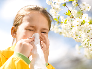 Kako prepoznati razliku između prehlade i alergije?
