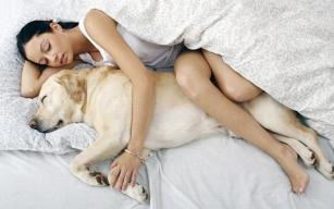 Da li bi spavanje sa Vašim psom na istom krevetu moglo biti korisno?