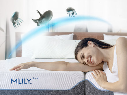 Mlily Royal Mattress